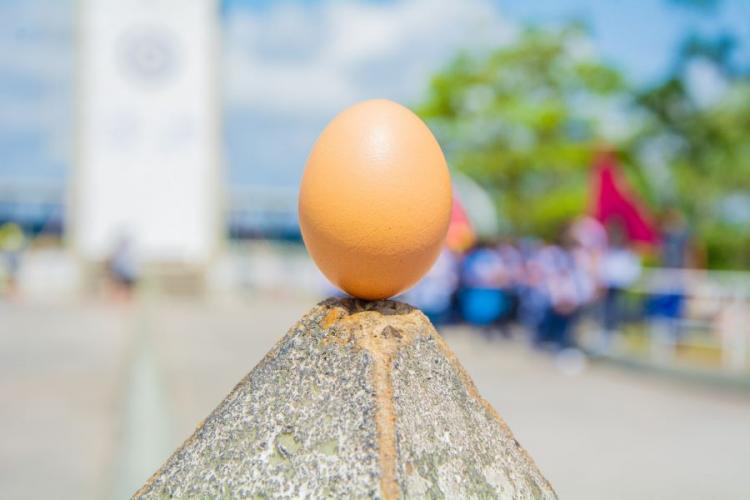 Ponto Tur Stico Conhe A O Monumento Marco Zero Do Equador No Amap