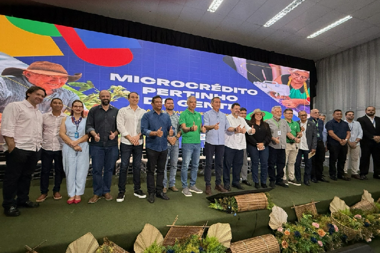 Imagem de capa da galeria