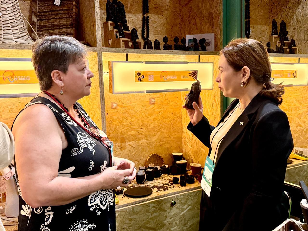 Imagem de capa da galeria