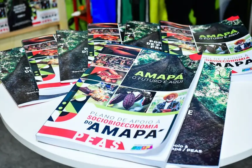 Imagem de capa da galeria