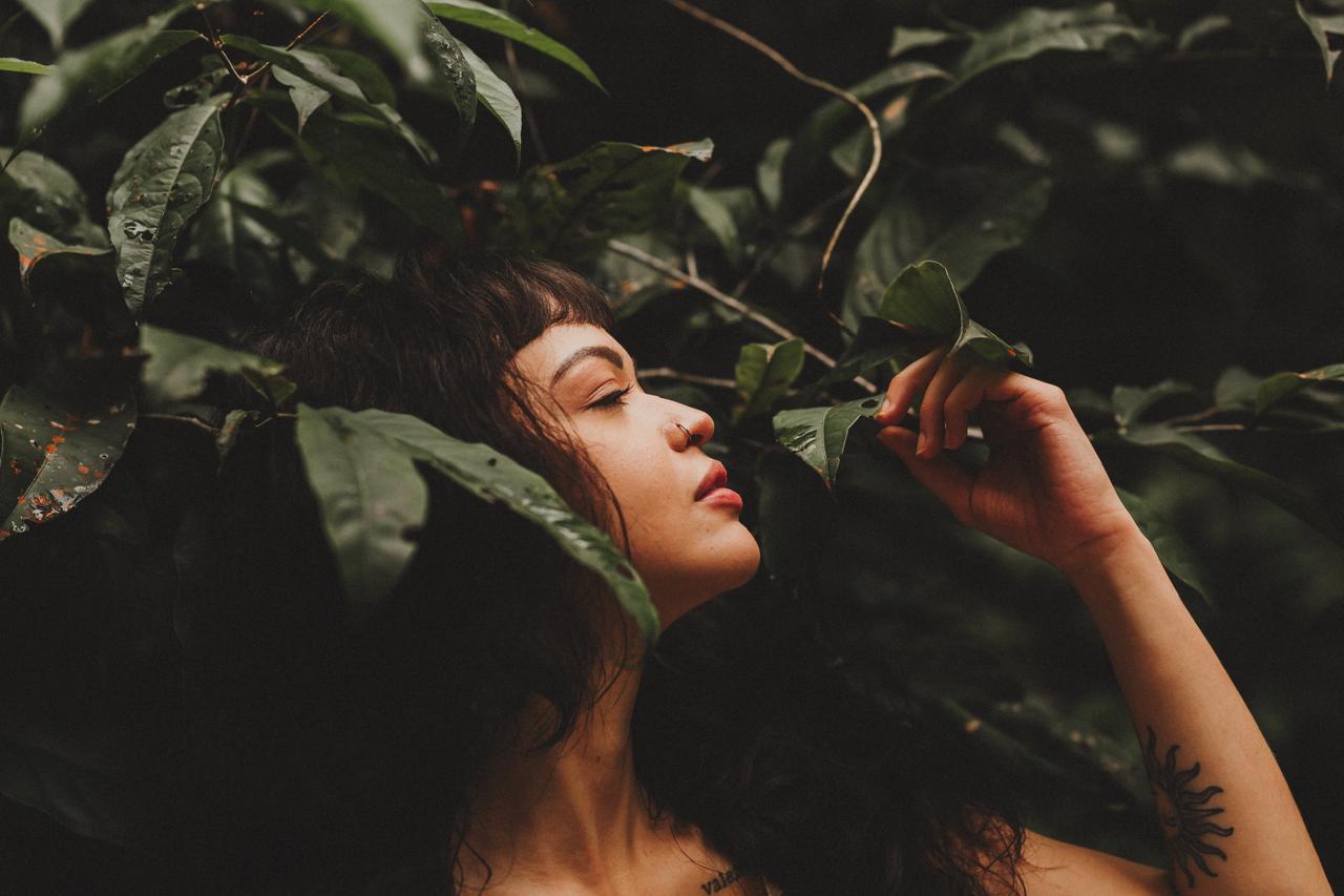 Imagem de capa da galeria