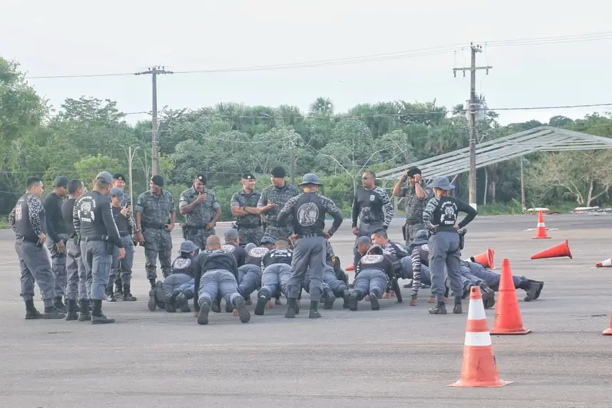 Imagem de capa da galeria