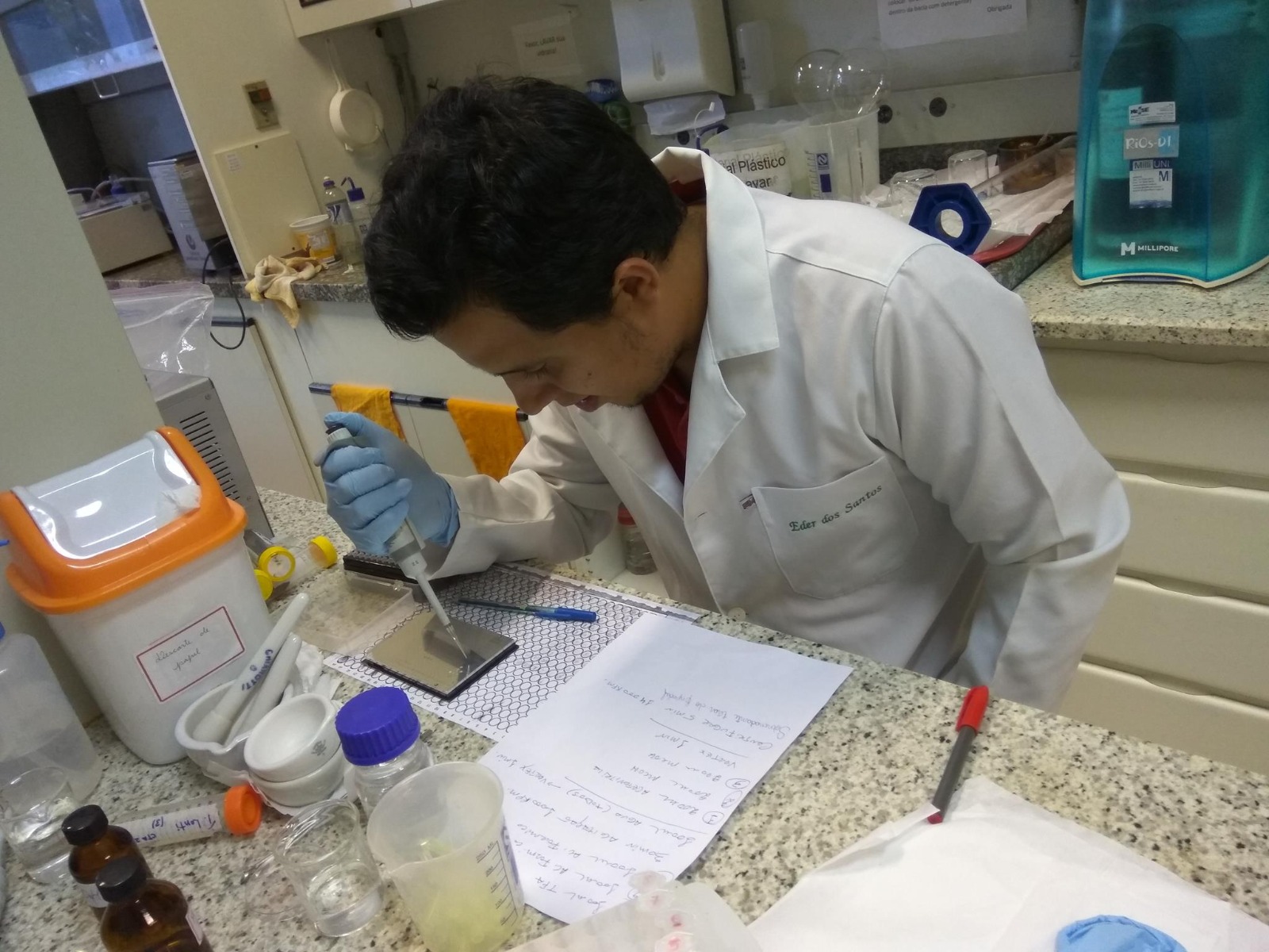 Imagem de capa da galeria