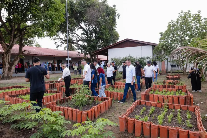 Imagem de capa da galeria