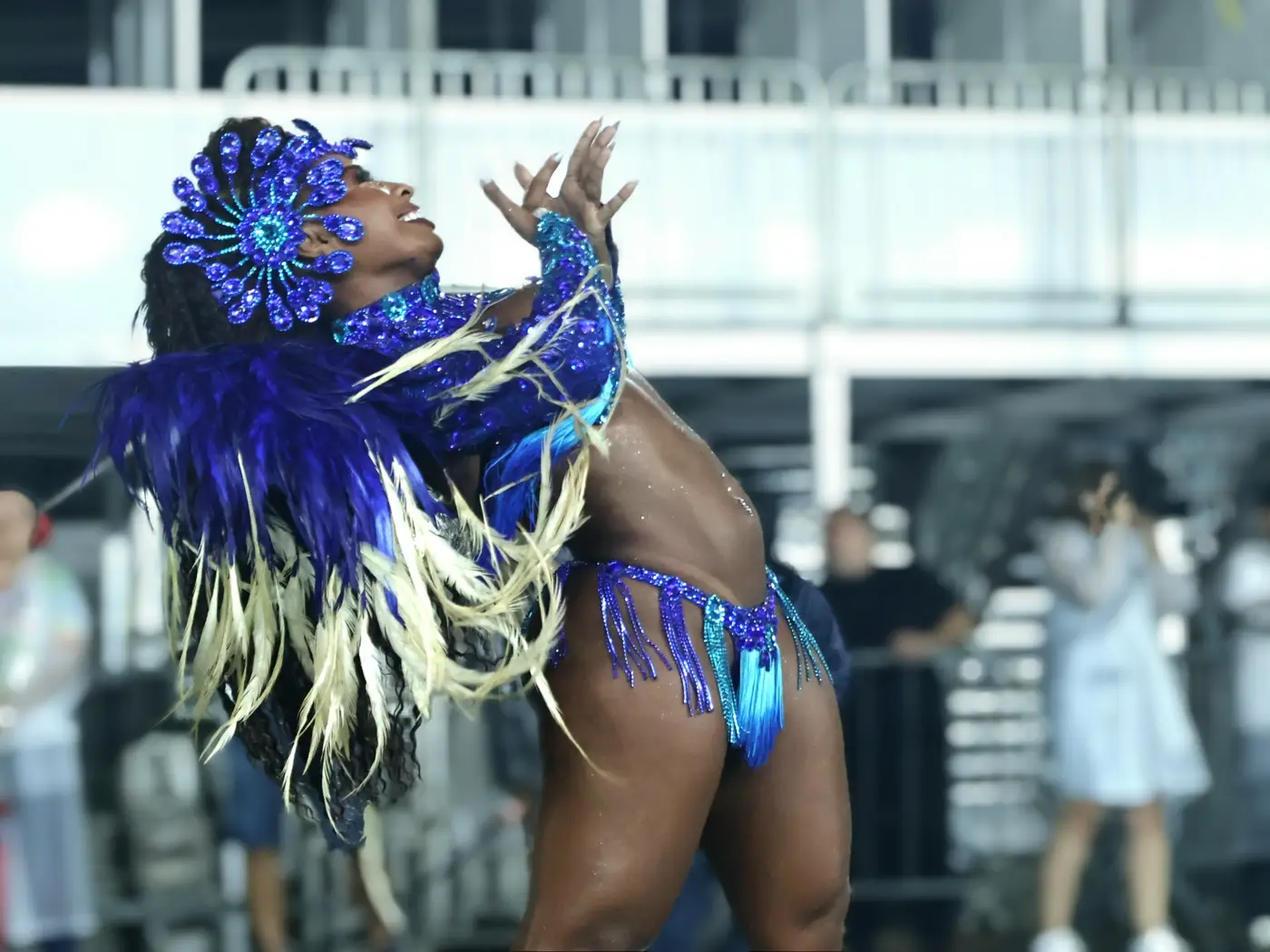 Imagem de capa da galeria