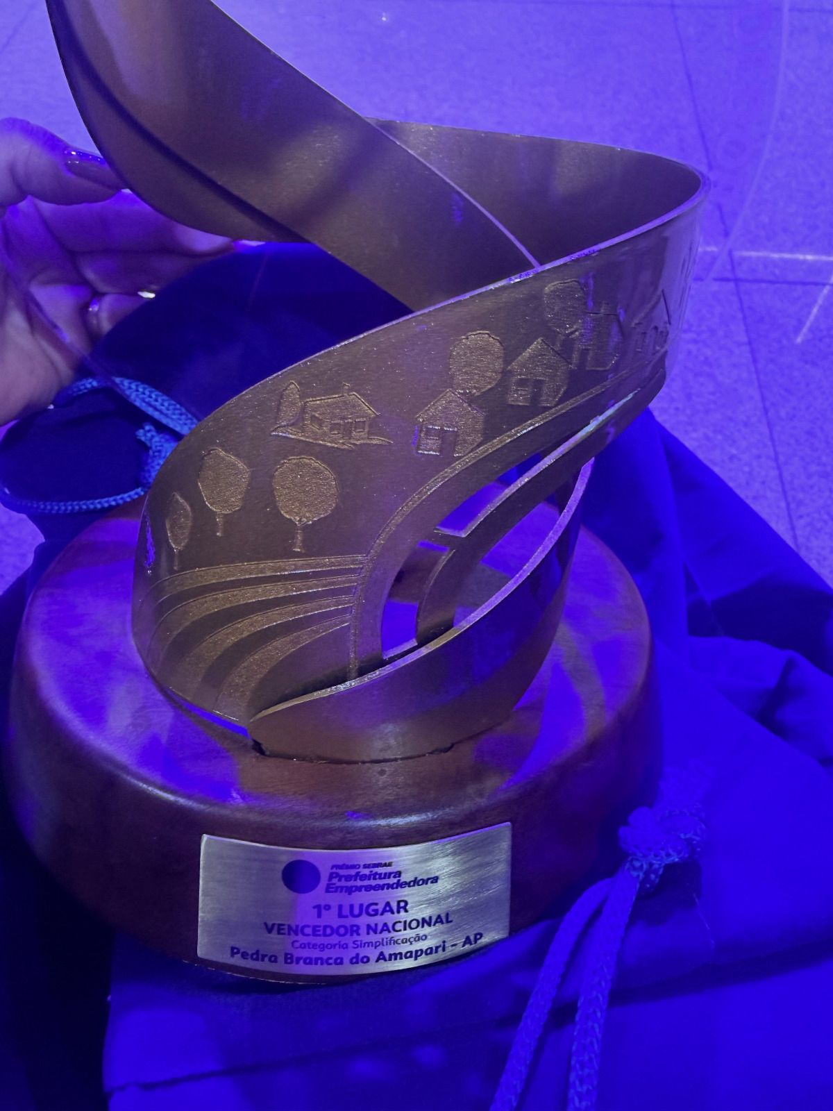 Pedra Branca e Laranjal do Jari foram consagradas campeãs nacionais no Prêmio Sebrae Prefeitura Empreendedora