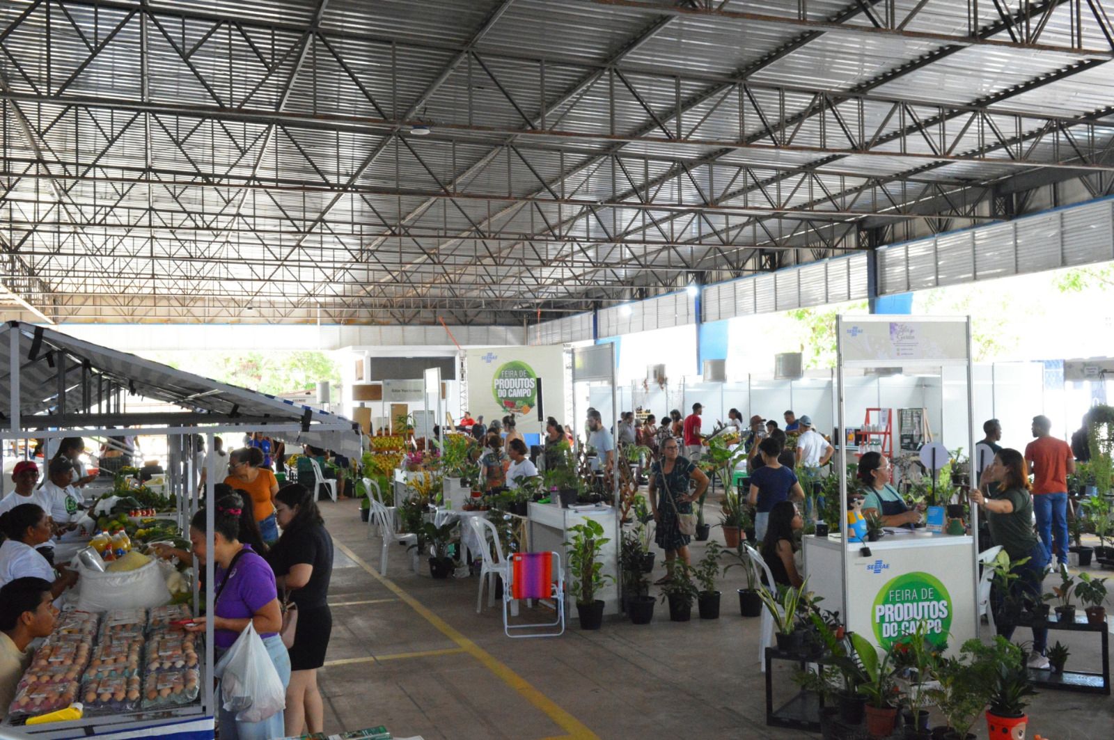 11ª Feira do Campo reúne diversidade produtiva e aposta em inovação para fortalecer setor