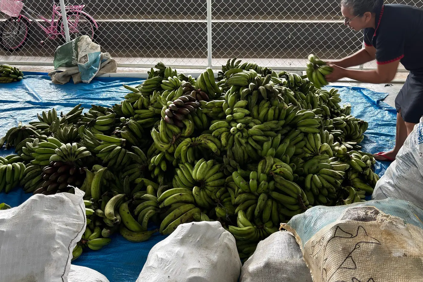 Imagem da Notícia