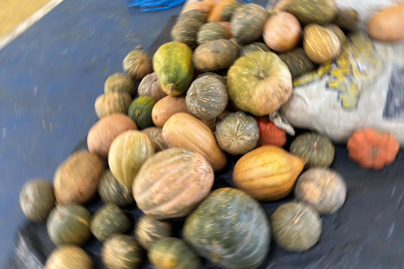 Imagem da Notícia