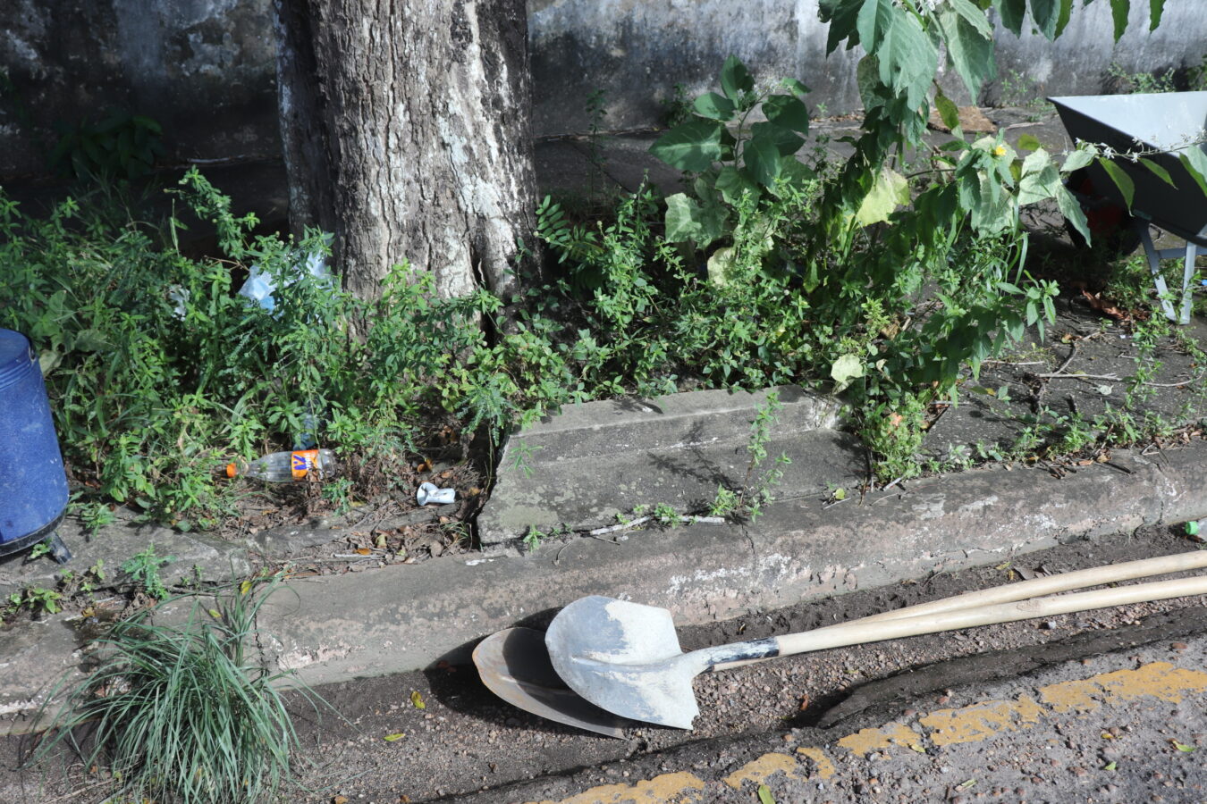 Imagem da Notícia