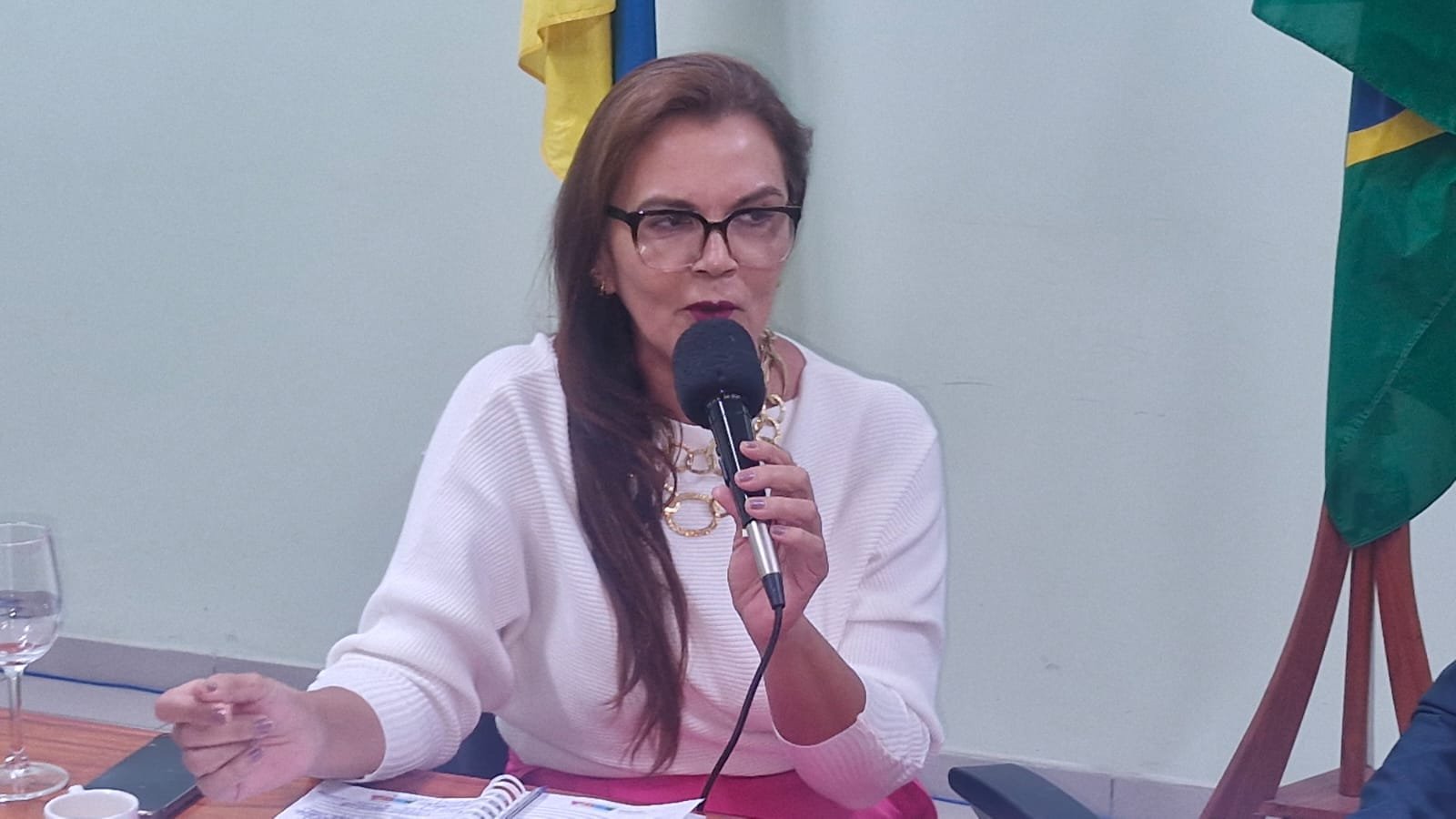 Plenária do Conselho Estadual de Educação discute ampliação do Qualifica Amapá