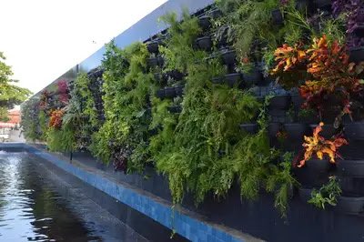 Governo do Amapá entrega nova praça do Parque Tecnológico com espaço revitalizado e urbanizado à população
