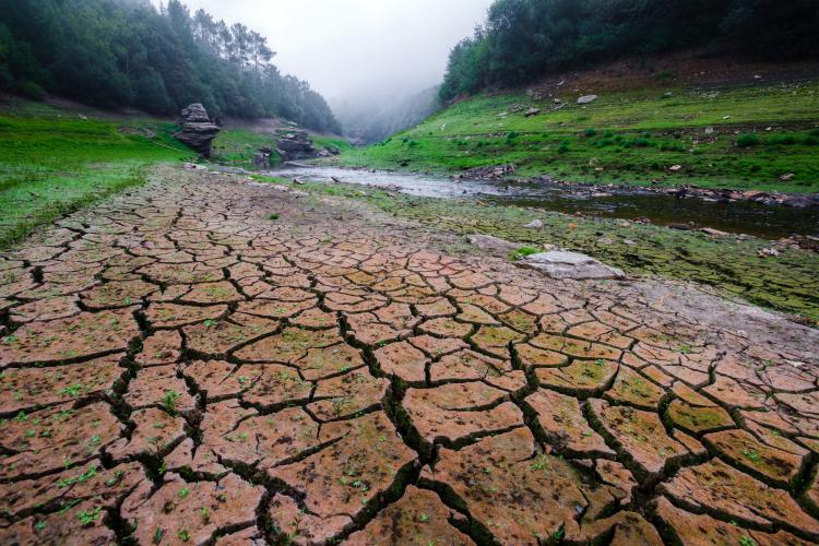 Amazonas já enfrenta seca extrema