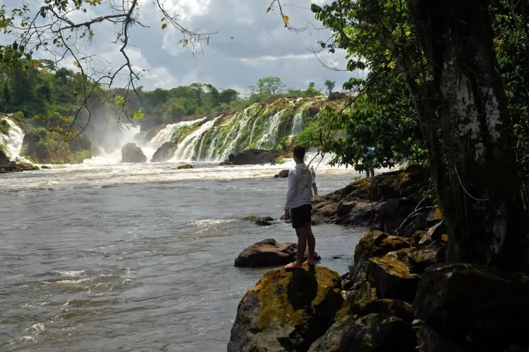 A Trilha do Discernimento: Sabedoria e Natureza no Coração do Tumucumaque