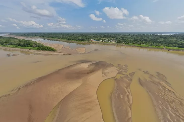 Os desafios da vazante no Amazonas