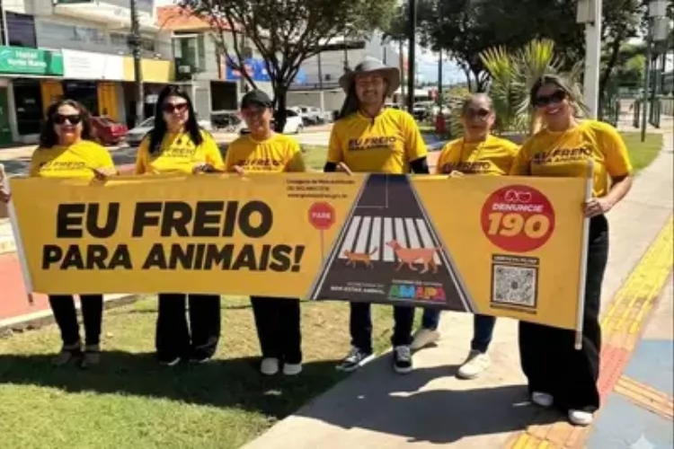 Governo do Estado intensifica conscientização sobre a segurança de animais domésticos e silvestres em vias públicas