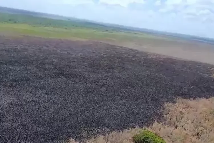 Ação integrada do Governo do Amapá reforça combate a incêndios no entorno da Reserva Biológica do Lago Piratuba