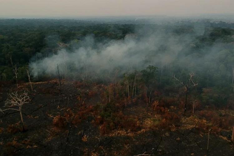 Por que os desmatadores investem em destruir a floresta amazônica – 6: commodities e fatores locais de desmatamento