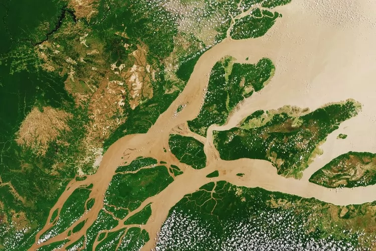 Pluma do rio Amazonas amplia absorção de CO₂ pelo oceano Atlântico, aponta estudo