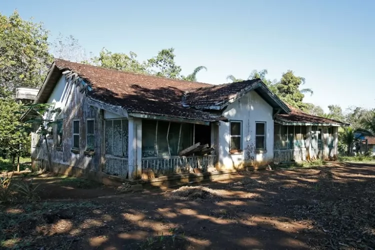 Fordlândia: por que o sonho de Henry Ford fracassou na Amazônia