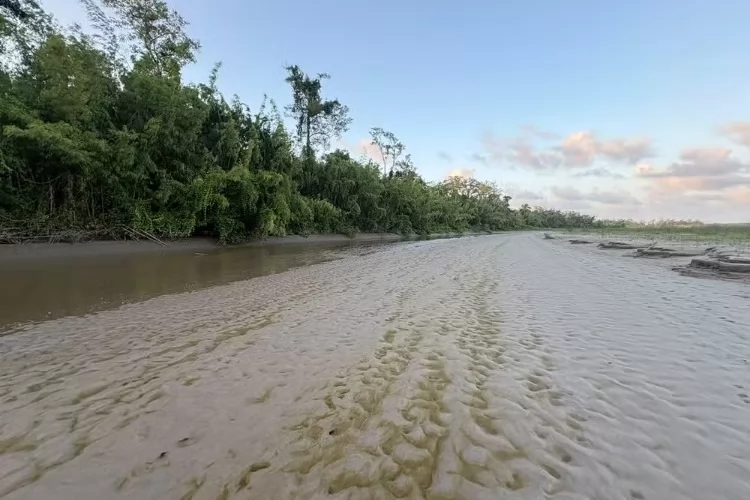 Seca severa no Bailique (AP) isola comunidades e compromete serviços básicos