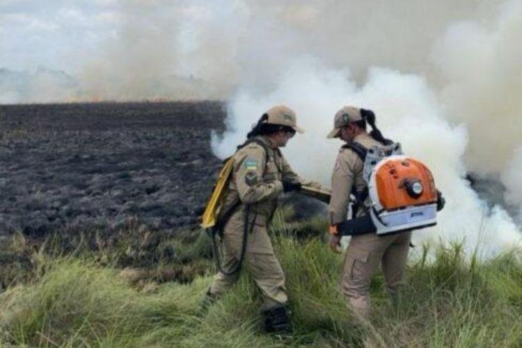 Amapá adere à política nacional e suspende uso do fogo para prevenir focos de calor e incêndios florestais
