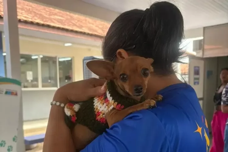 Amapá participa da Semana Nacional dos Animais, em Brasília