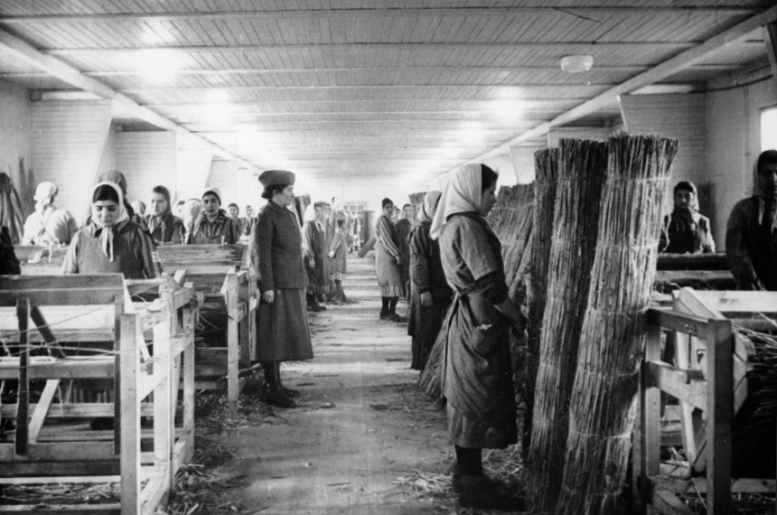 Holocausto cigano será tema de debate na CDH na terça