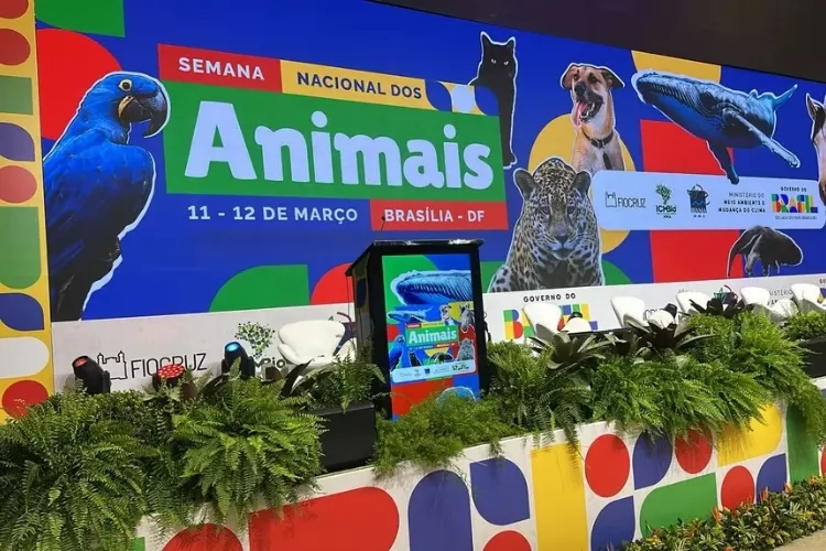 Causa animal: Governo Federal institui a Conferência Nacional de Proteção e Defesa dos Direitos dos Animais