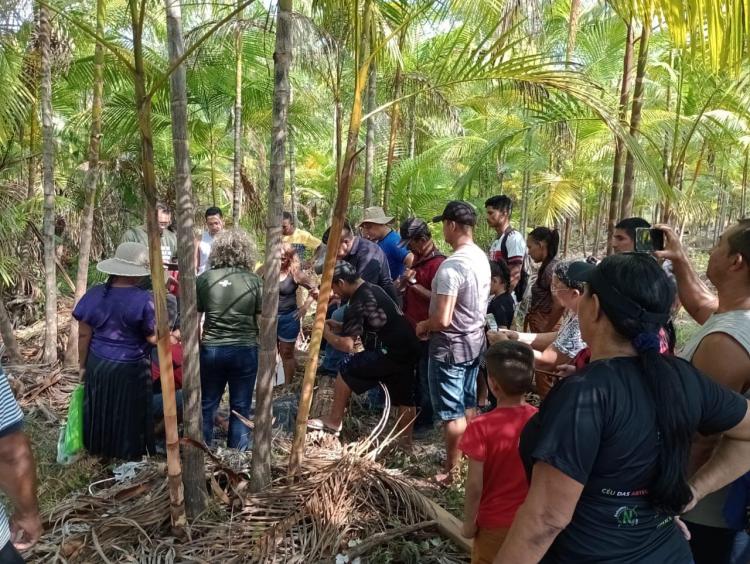 Empreendedores de Cutias participam de curso de boas práticas no manejo de açaí