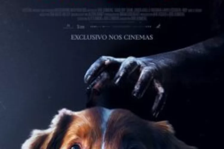 Filmes em Cartaz no Moviecom Macapá 