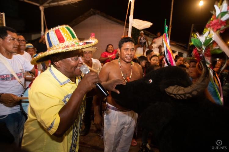 Mestre Damasceno coloca nas ruas de Salvaterra o seu Búfalo-Bumbá Junino