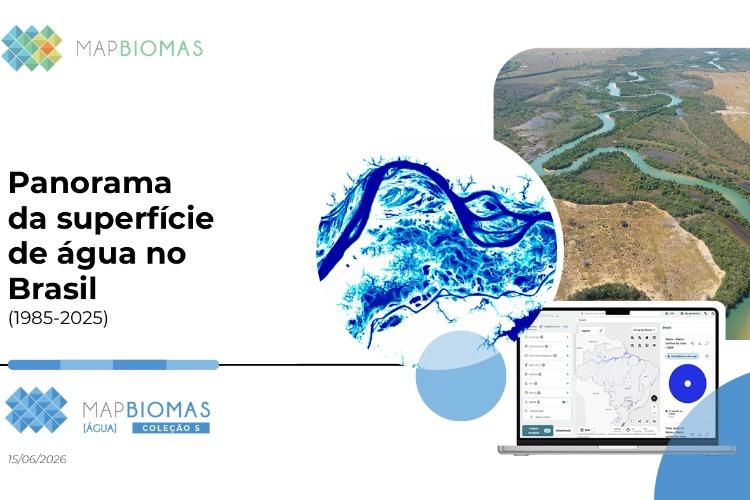 Amazônia recupera superfície de água após dois anos de seca severa