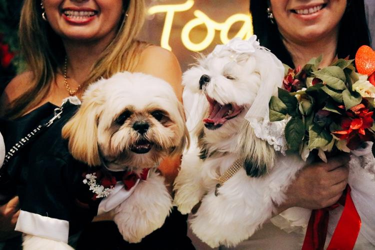 ExpoPet reúne soluções inovadoras, produtos e serviços do mercado pet em Macapá