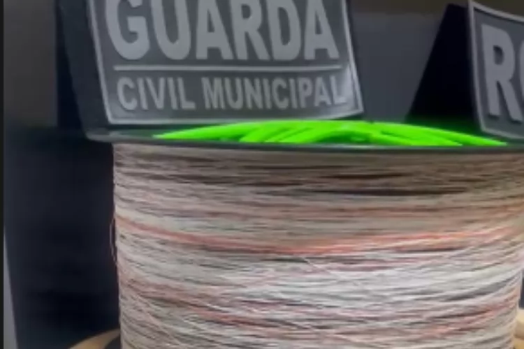 Prefeitura de Macapá reforça fiscalização e apreende linha chilena no Parque do Forte