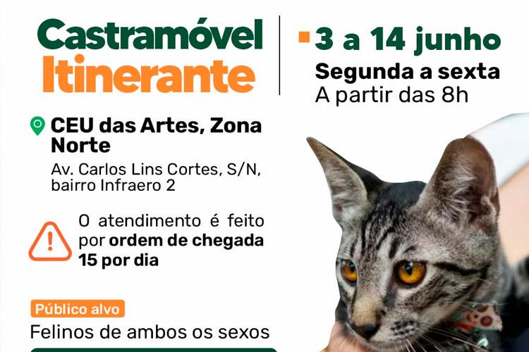 Castramóvel Itinerante atende felinos de ambos os sexos de 3 a 14 de junho