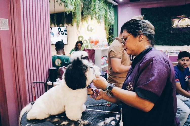 ExpoPet reúne soluções inovadoras, produtos e serviços do mercado pet em Macapá