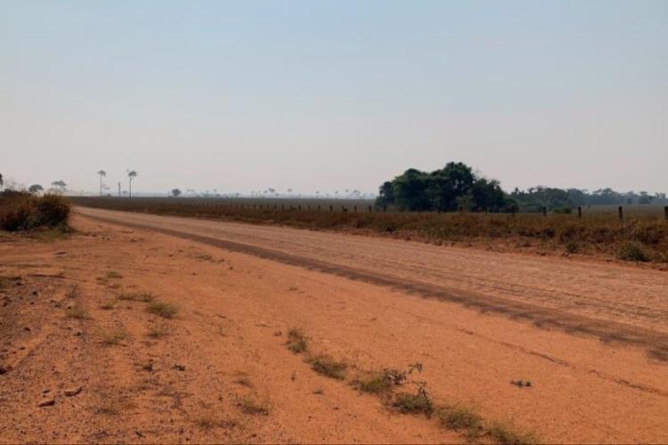 Grito e Clamor pela Amazônia Viva: a violência persistente no campo no sul do Amazonas