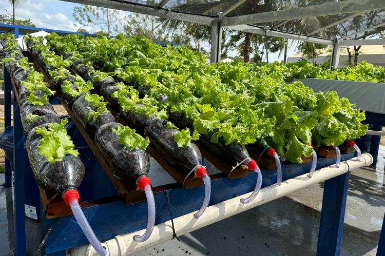 Governo do Amapá apresenta unidades demonstrativas agroextrativistas para a 53ª Expofeira