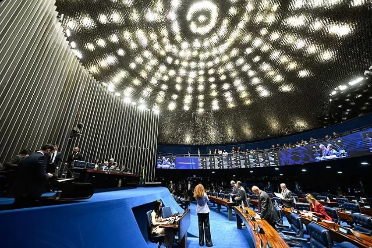 Senado aprova guarda compartilhada de animais de estimação