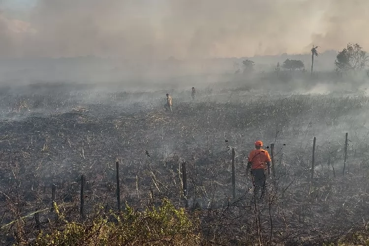 Defesa Civil de Santana alerta sobre queimadas no período de verão