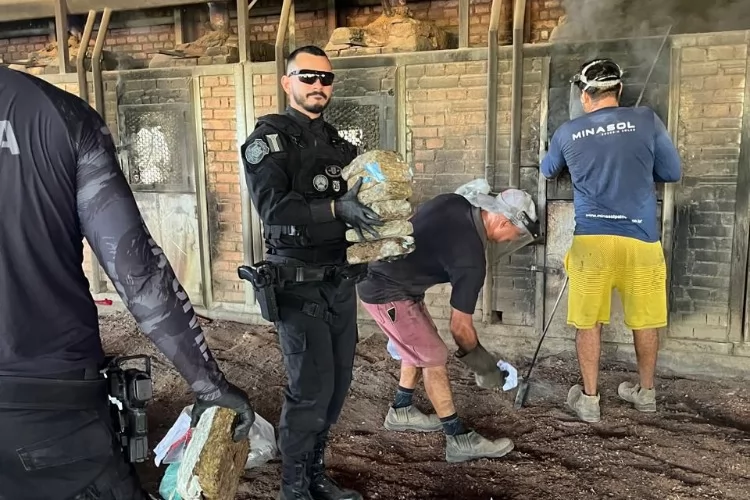 Polícia Civil incinera mais de 300 kg de drogas em Macapá