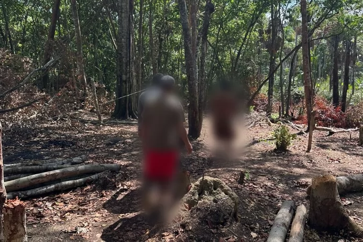 Em Macapá, Polícia Civil prende oito pessoas por desmatamento ilegal
