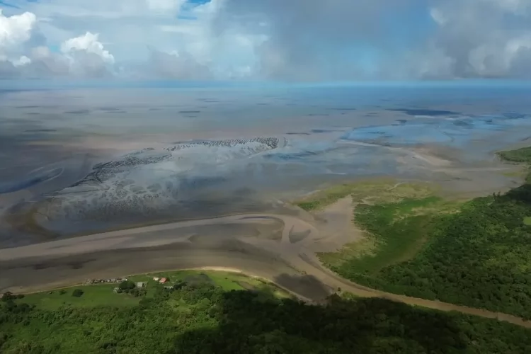Avanço do mar ameaça comunidades e biodiversidade na foz do Amazonas