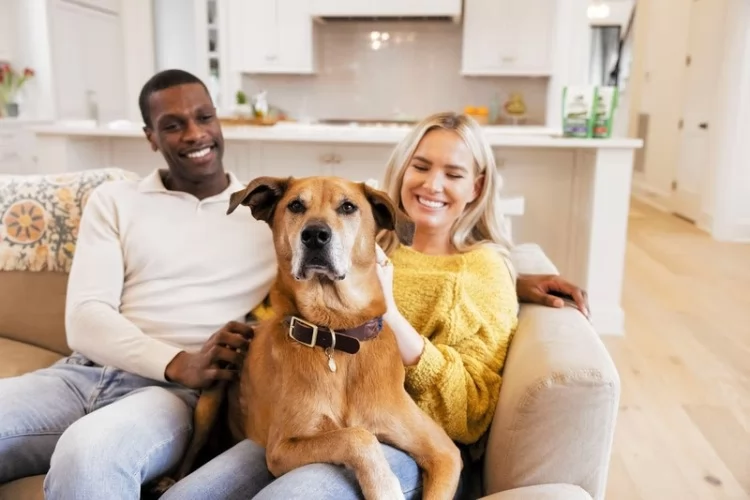 Animais em terapias: ciência explica benefícios da interação humano-animal