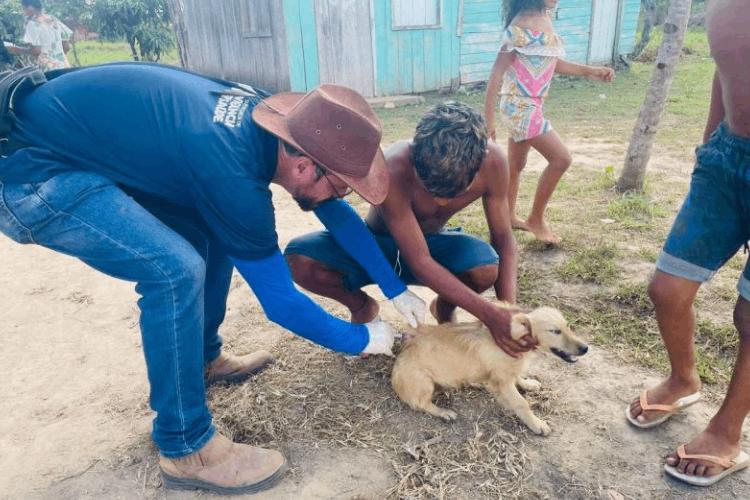 Governo do Amapá reforça vacinação contra a raiva em cães e gatos no interior do estado