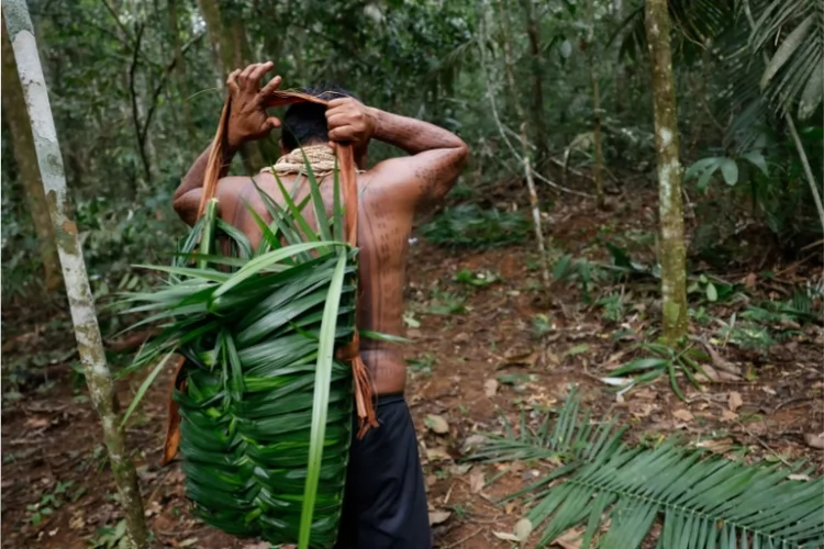 Fundo Amazônia destina R$ 80 milhões para fortalecer a produção sustentável de comunidades da Amazônia