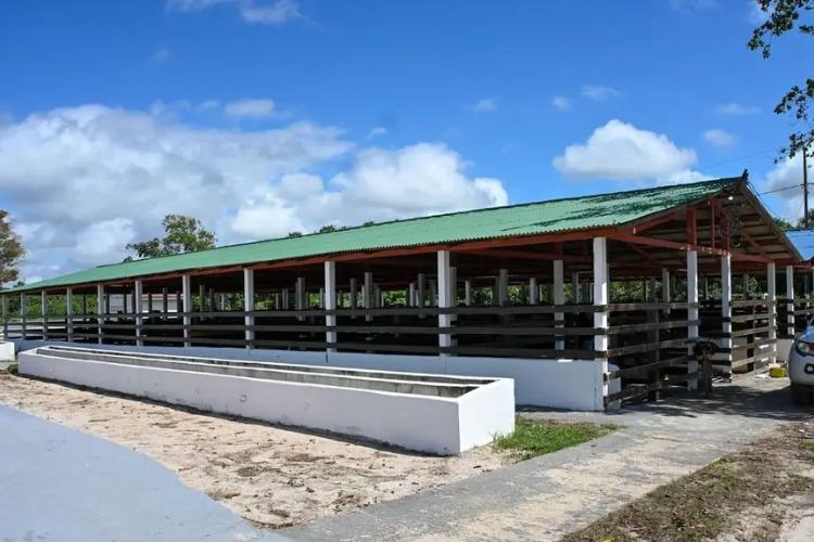 Rebanhos entram em isolamento sanitário antes de serem levados ao Parque de Exposições
