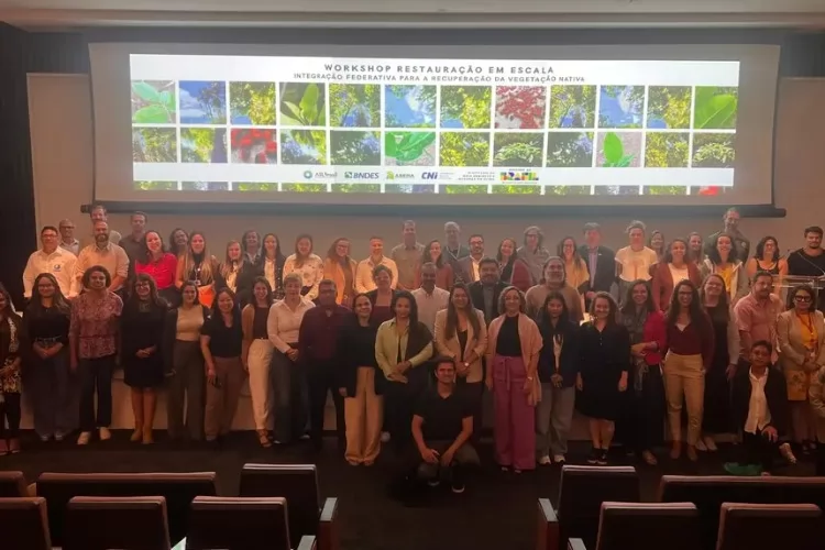 Governo do Amapá participa de workshop nacional sobre restauração da vegetação nativa promovido pelo MMA