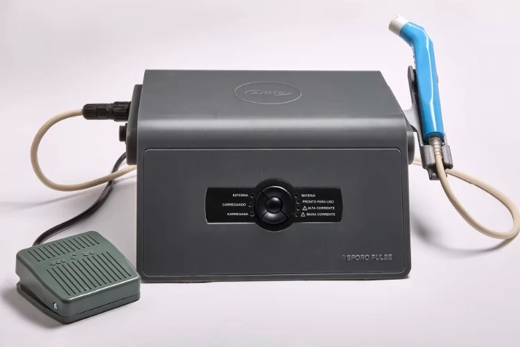 Estudo científico aponta técnica revolucionária para tratamento da esporotricose em gatos, com cura mais rápida e de menor custo